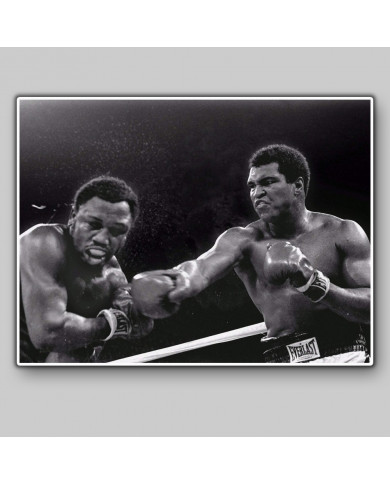 Muhammad Ali Muhammad Ali