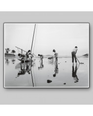 Black Beach, Massachusetts Bay, 1960