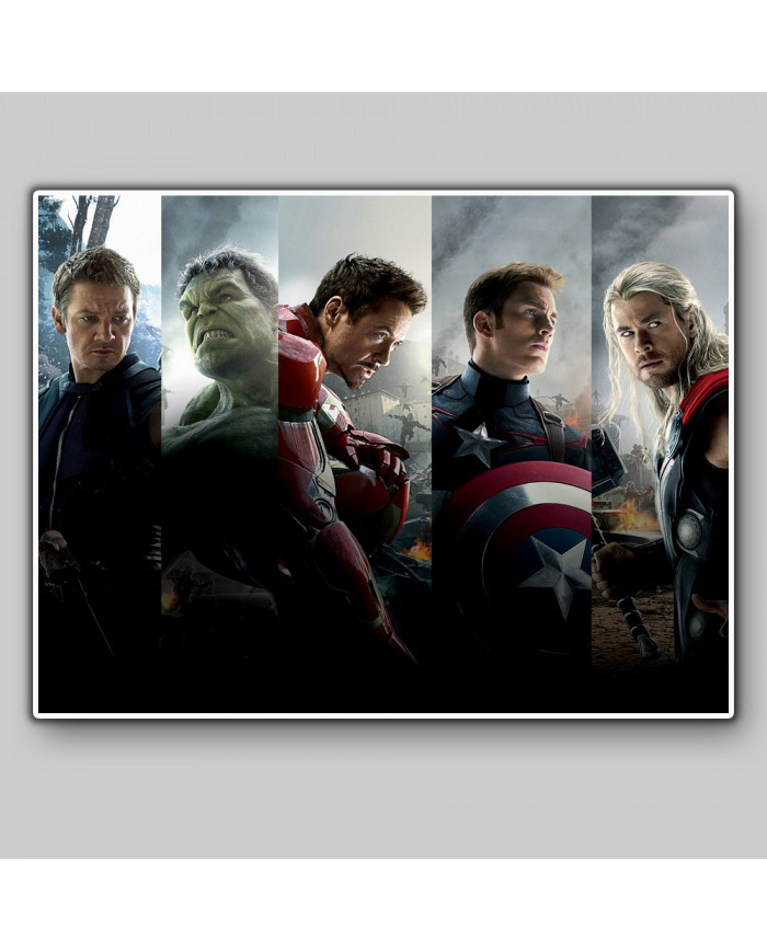 The Avengers Age of Ultron Team