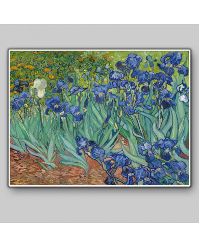 Vicent Van Gogh, Lirios Vicent Van Gogh, Lirios