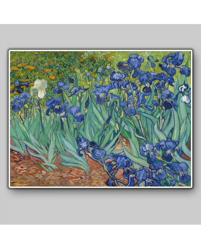 Vicent Van Gogh, Lirios