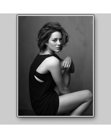 Marion Cotillard Marion Cotillard