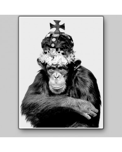 El rey chimpazé El rey chimpazé