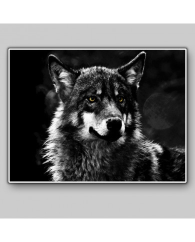 Lobo Lobo