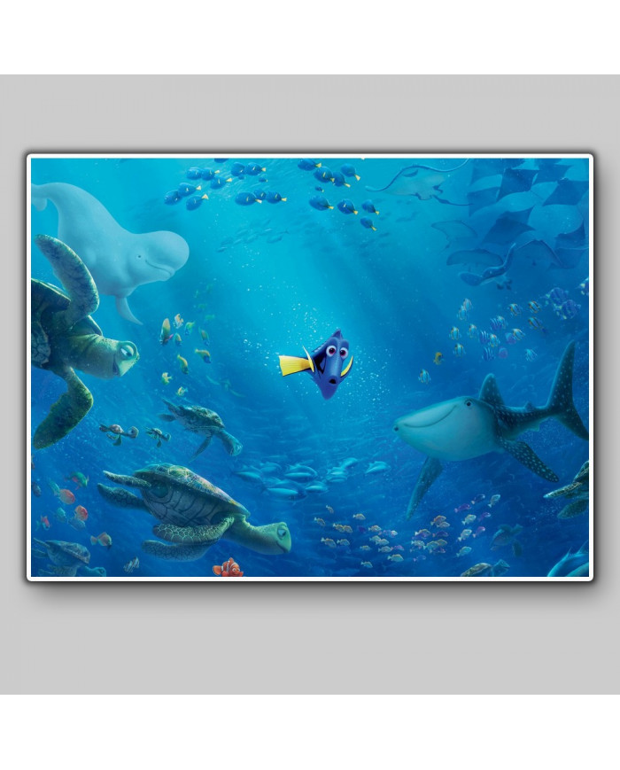 Buscando a Nemo