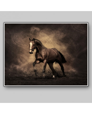 Caballo al trote Caballo al trote