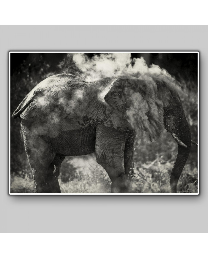 Elefante limpiándose,Parque Nacional Etosha,Namibia