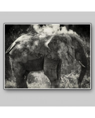 Elefante limpiándose,Parque Nacional Etosha,Namibia