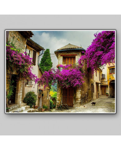Provenza italiana Provenza italiana