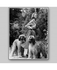 Woman with two afghans dogs,1957