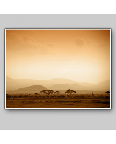 Amanecer en la sabana africana , Bostwana Amanecer en la sabana africana , Bostwana