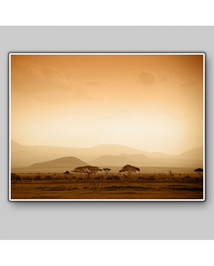 Amanecer en la sabana africana , Bostwana