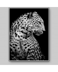 Retrato de un leopardo, Parque Nacional Serengueti, Tanzania