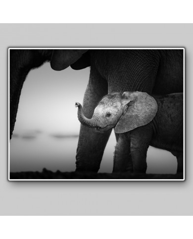 Bebé elefante con su madre, Parque Nacional Serengueti, Tanzania Bebé elefante con su madre, Parque Nacional Serengueti, Tanzania