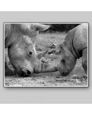 Rinoceronte hembra con su bebé, Parque Nacional Ngorongoro, Tanzania