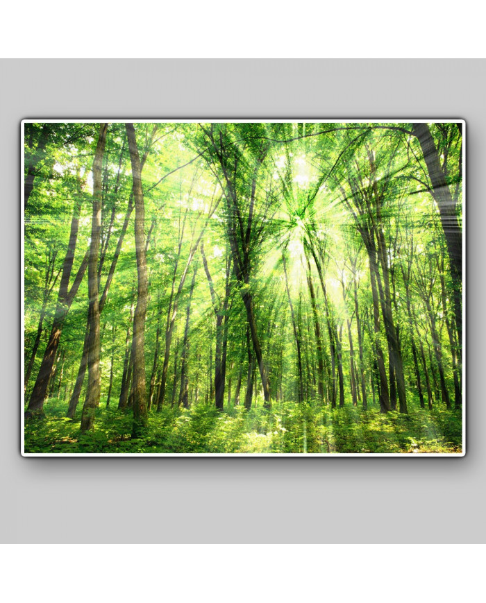 Luz entre árboles, Filipinas