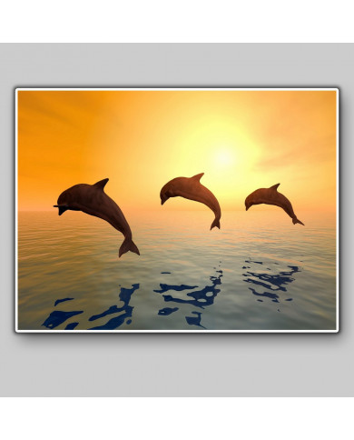 Delfines saltando Delfines saltando