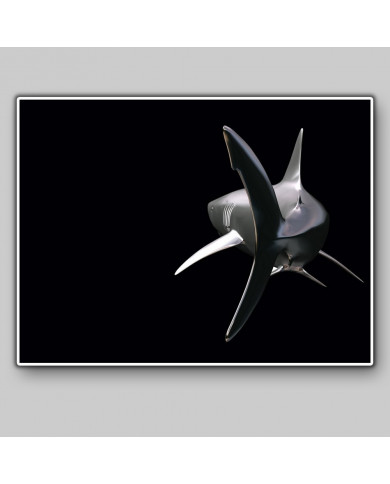 Tiburón Tiburón