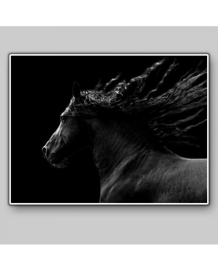 Caballo negro cabalgando