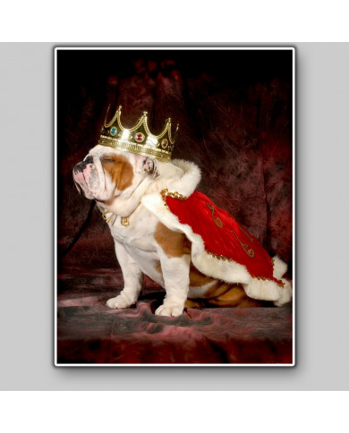 Buldog inglés Buldog inglés