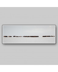 Vista panorámica, caballos, Islandia