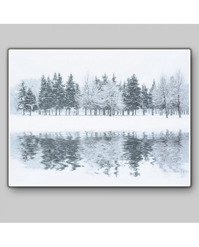 Bosque en invierno, Alaska, USA