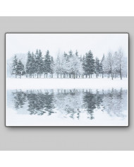 Bosque en invierno, Alaska, USA