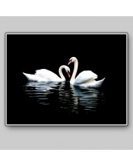 Retrato de dos cisnes