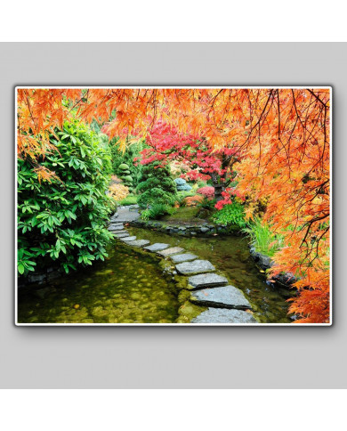 Jardín japononés Jardín japononés