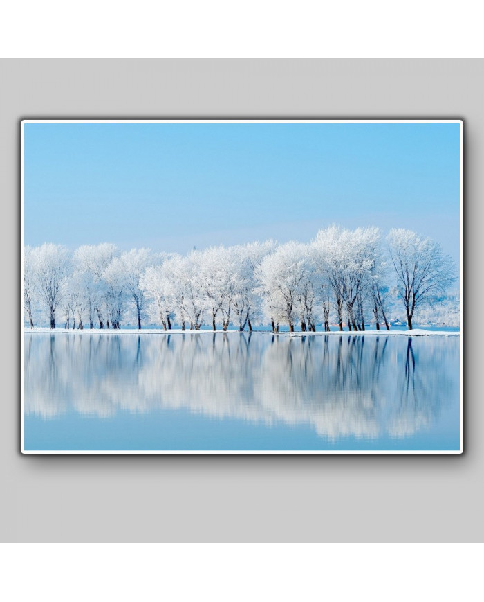 Bosque en invierno, Siberia, Rusia