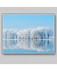 Bosque en invierno, Siberia, Rusia