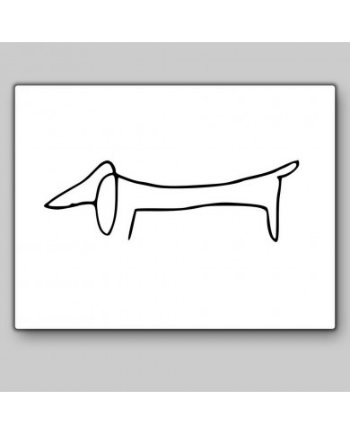 Picasso, The dog Picasso, The dog