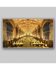 Biblioteca Harper memorial, Chicago University, USA