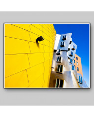 Frank Gehry Architecture