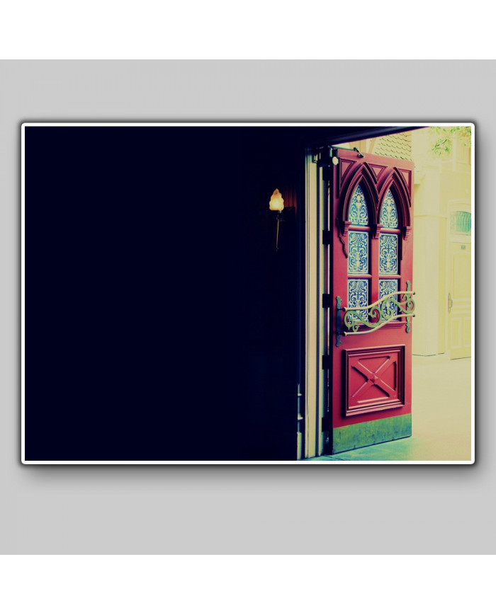 Detalle de una puerta, París, Francia