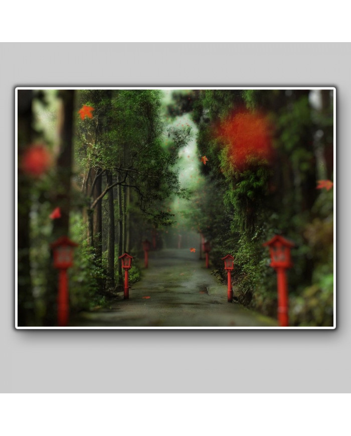 Camino del bosque, China