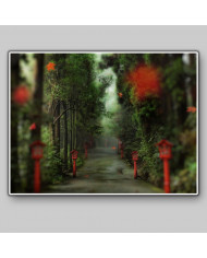 Camino del bosque, China