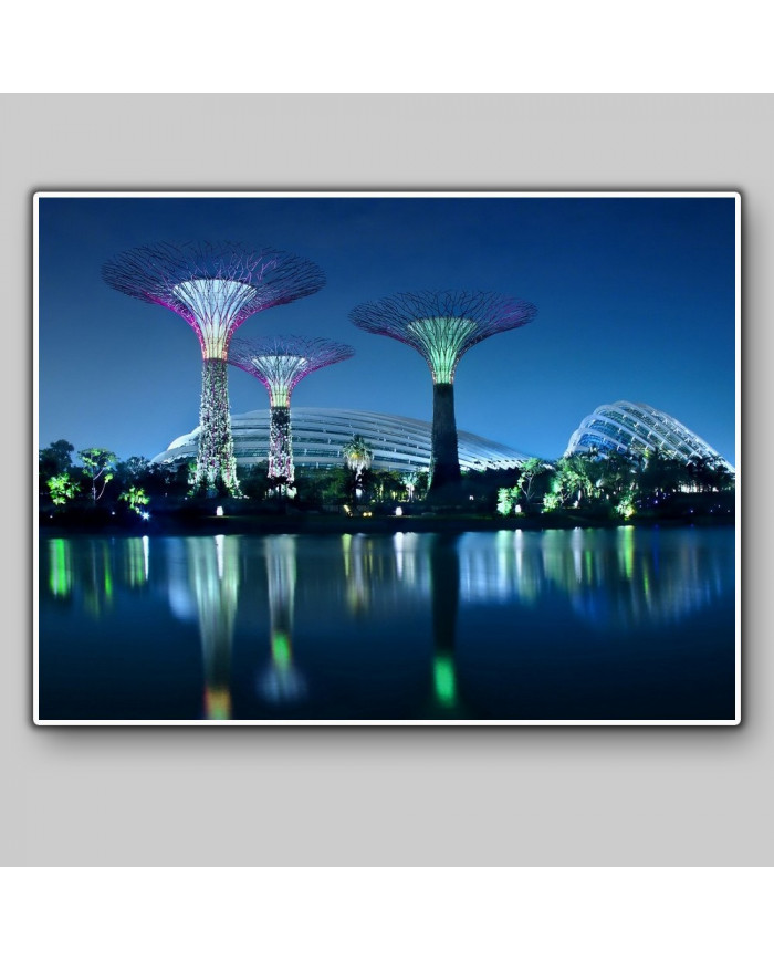 Gardens by the bay, Singapur