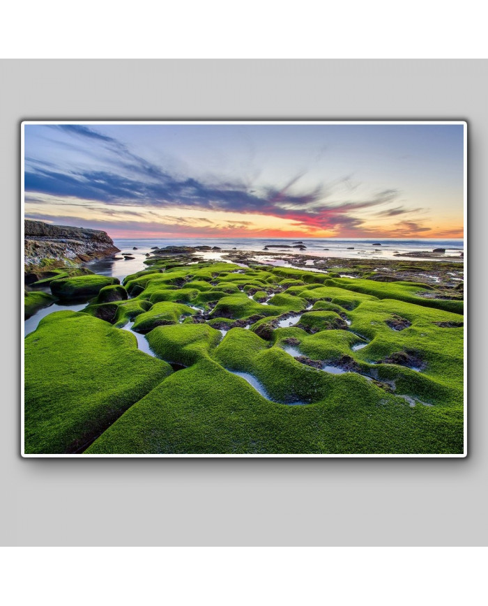 Costa de la Joya, California, USA