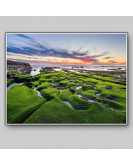 Costa de la Joya, California, USA