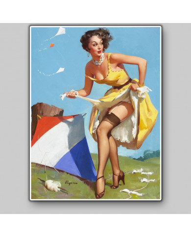 Pin up girl Pin up girl