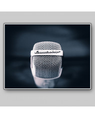 El micrófono de nuestras vidas