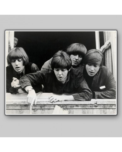 The Beatles The Beatles