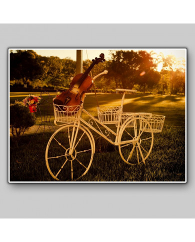 Bicicleta con violín Bicicleta con violín