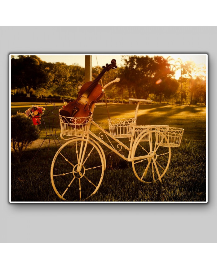 Bicicleta con violín