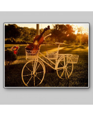 Bicicleta con violín