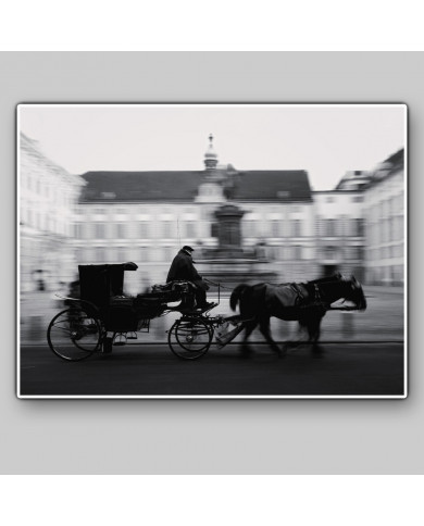 Carruaje tirado por caballos en el palacio Hofburg, Viena, Austria Carruaje tirado por caballos en el palacio Hofburg, Viena, Austria