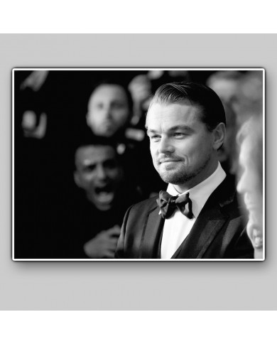 Leonardo di Caprio Leonardo di Caprio