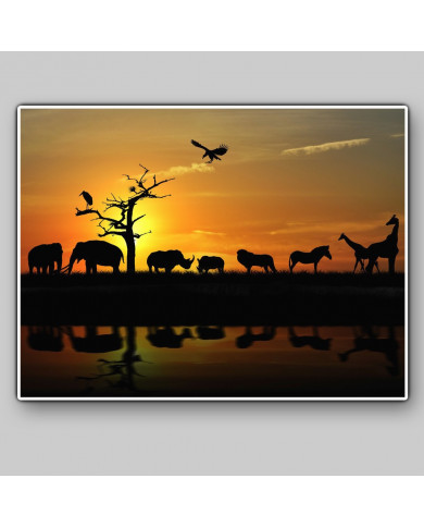 Siluetas de animales en el Parque Nacional de Moremi y Chobe, Botswana Siluetas de animales en el Parque Nacional de Moremi y Chobe, Botswana
