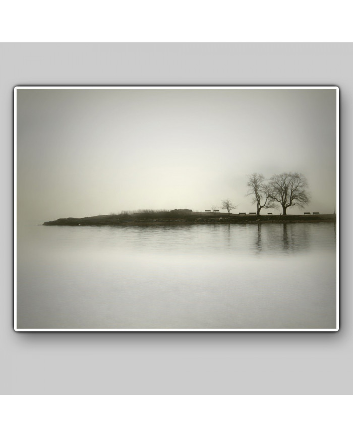 El reflejo de los árboles